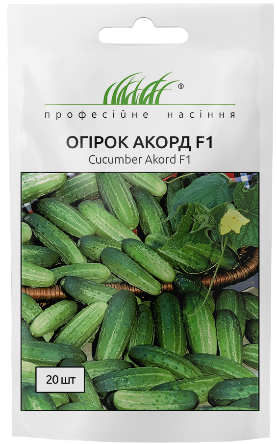Огірок Акорд