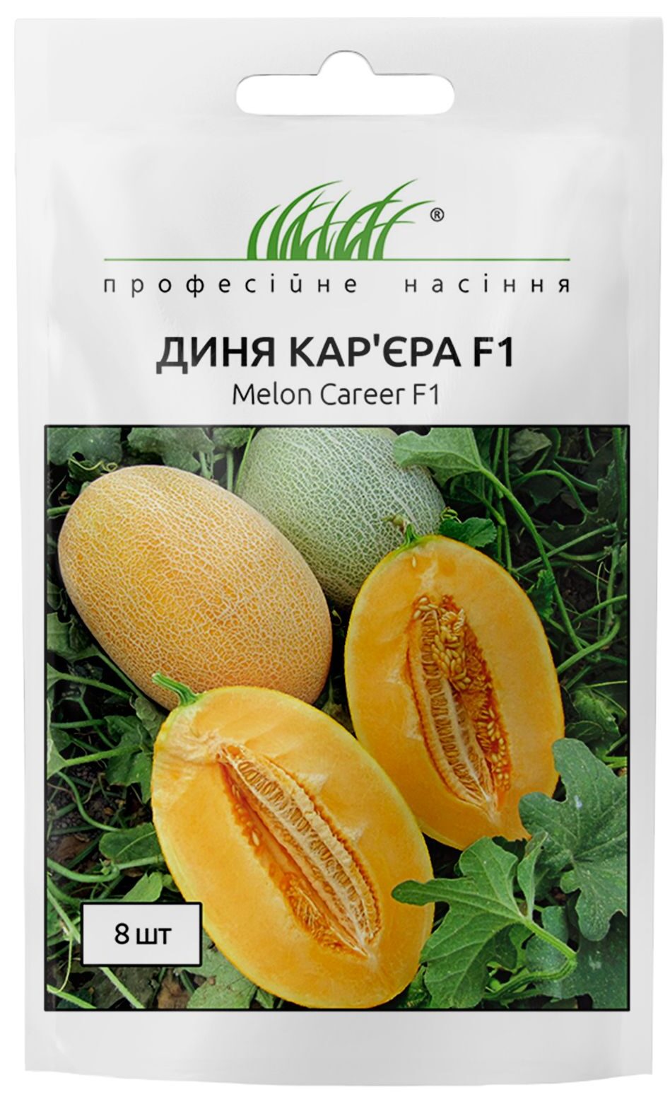 Диня Кар'єра