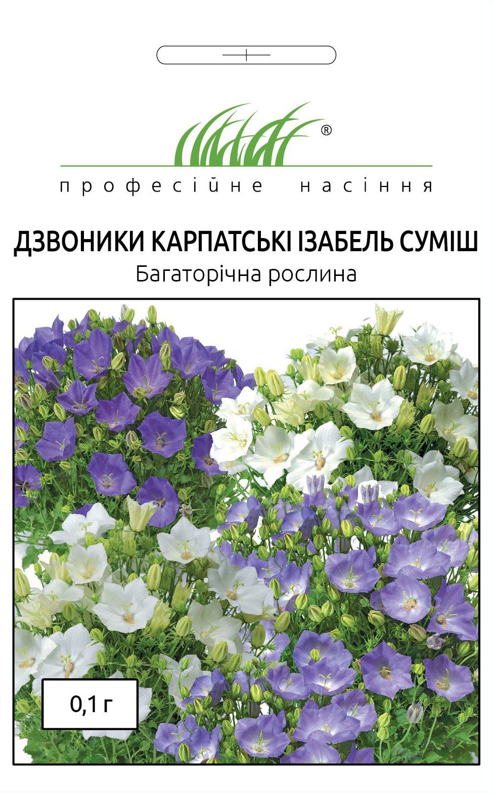 Дзвоники карпатські Ізабель