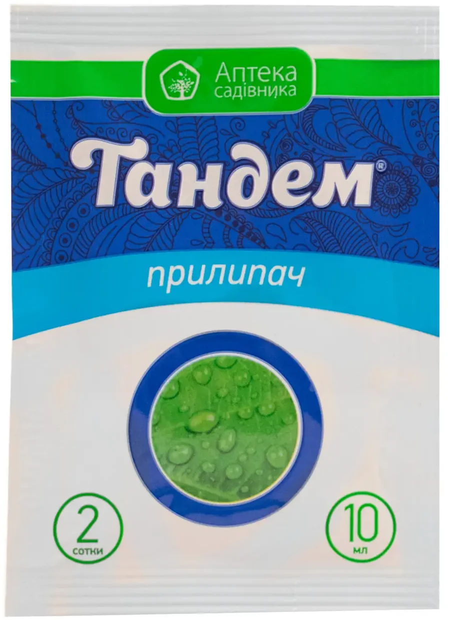 Тандем Прилипач