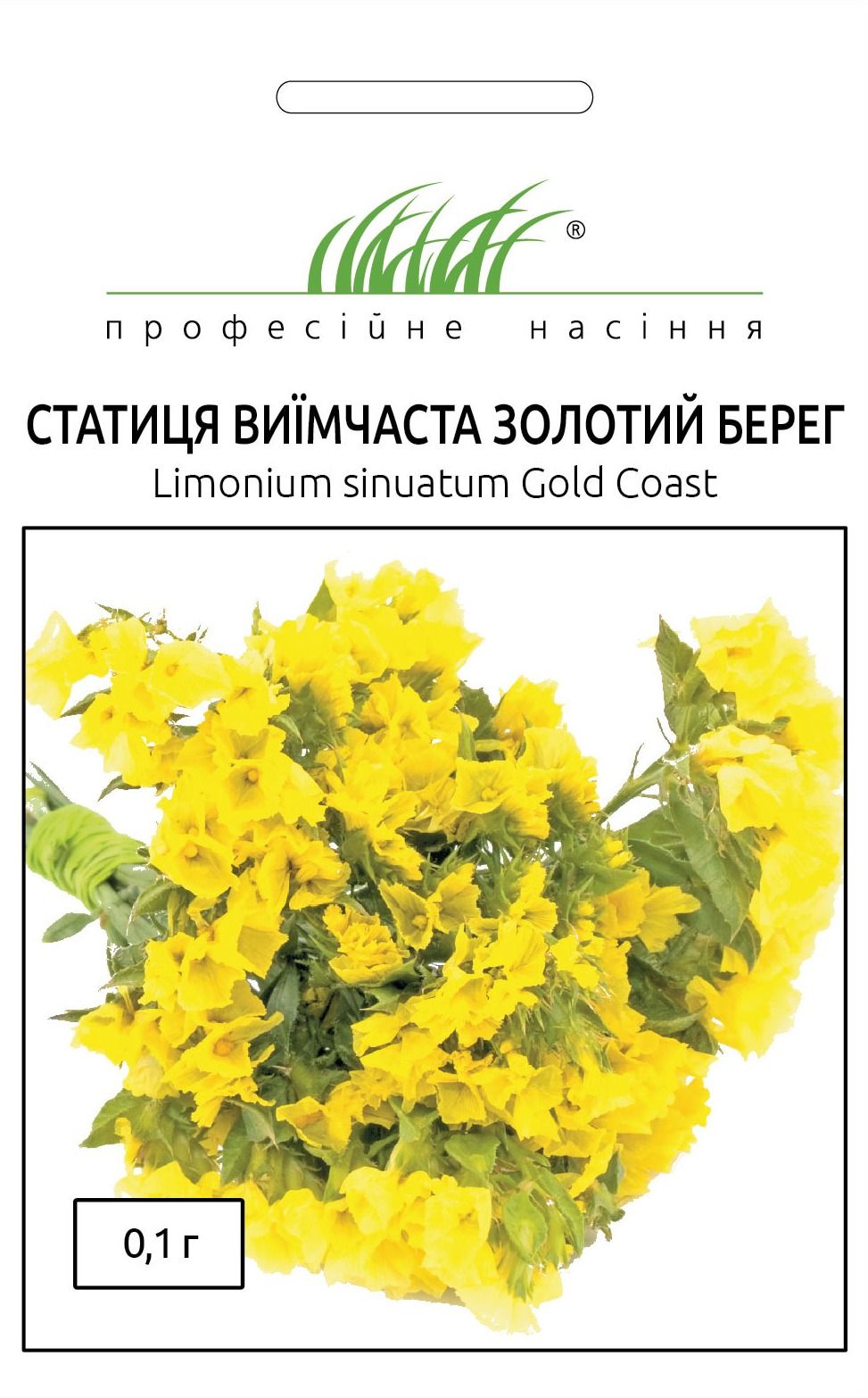 Статиця Золотий берег