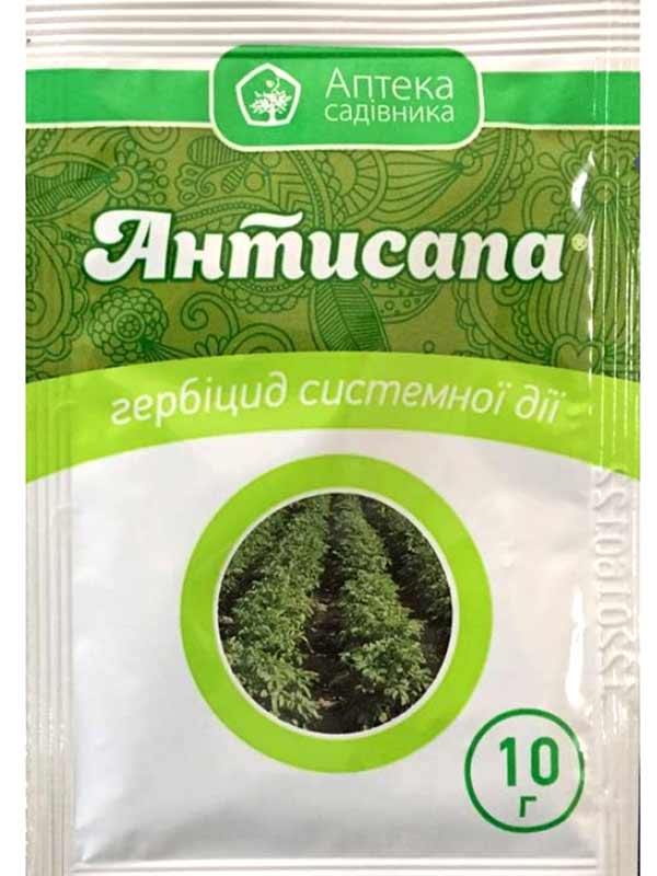 Антисапа