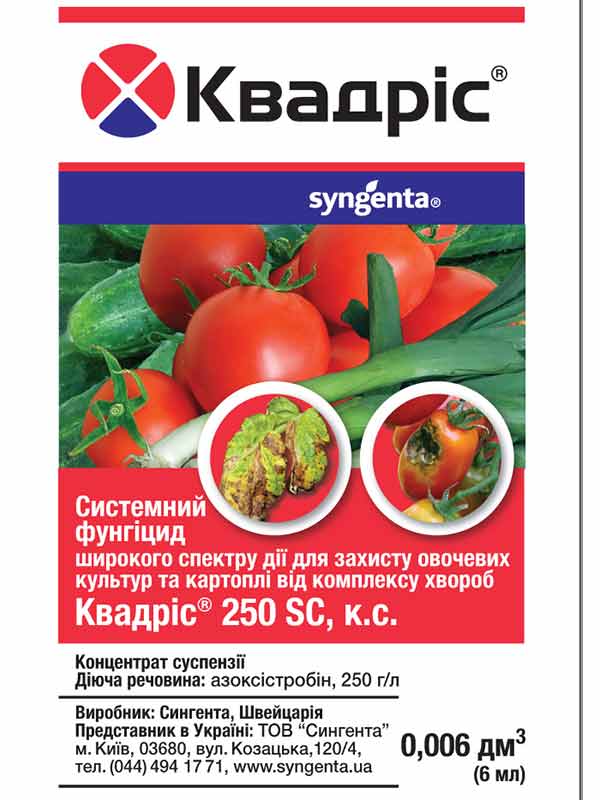 Квадріс
