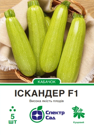 Іскандер 5 шт.