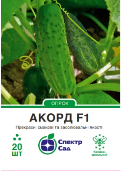 Акорд 20 шт.
