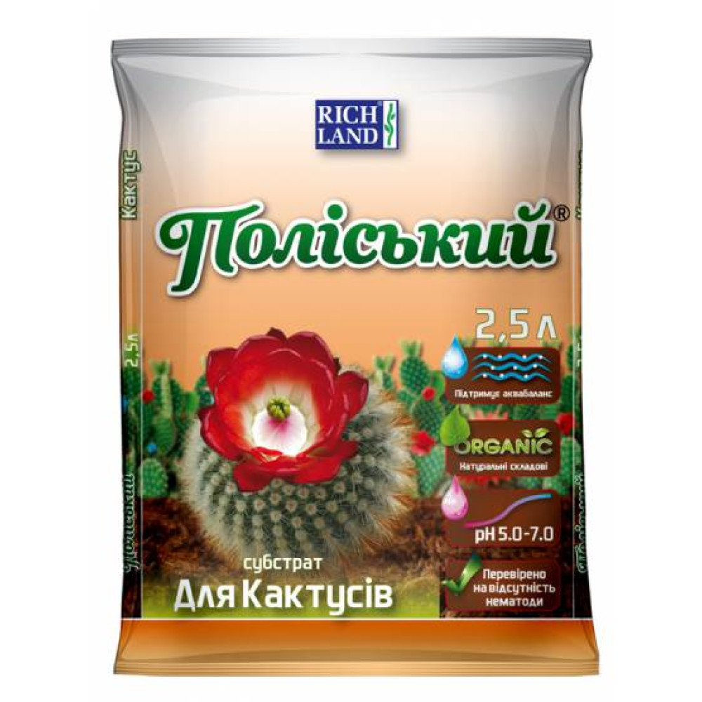 кактус 2.5л