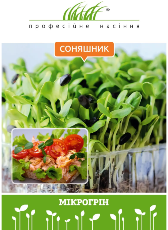 СОНЯШНИК МІКРОЗЕЛЕНЬ