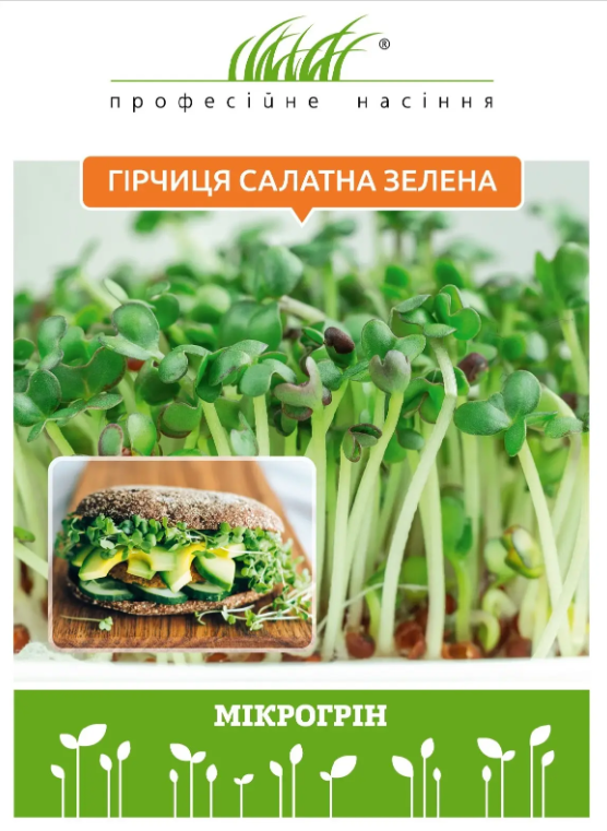гічиця салатна зелена