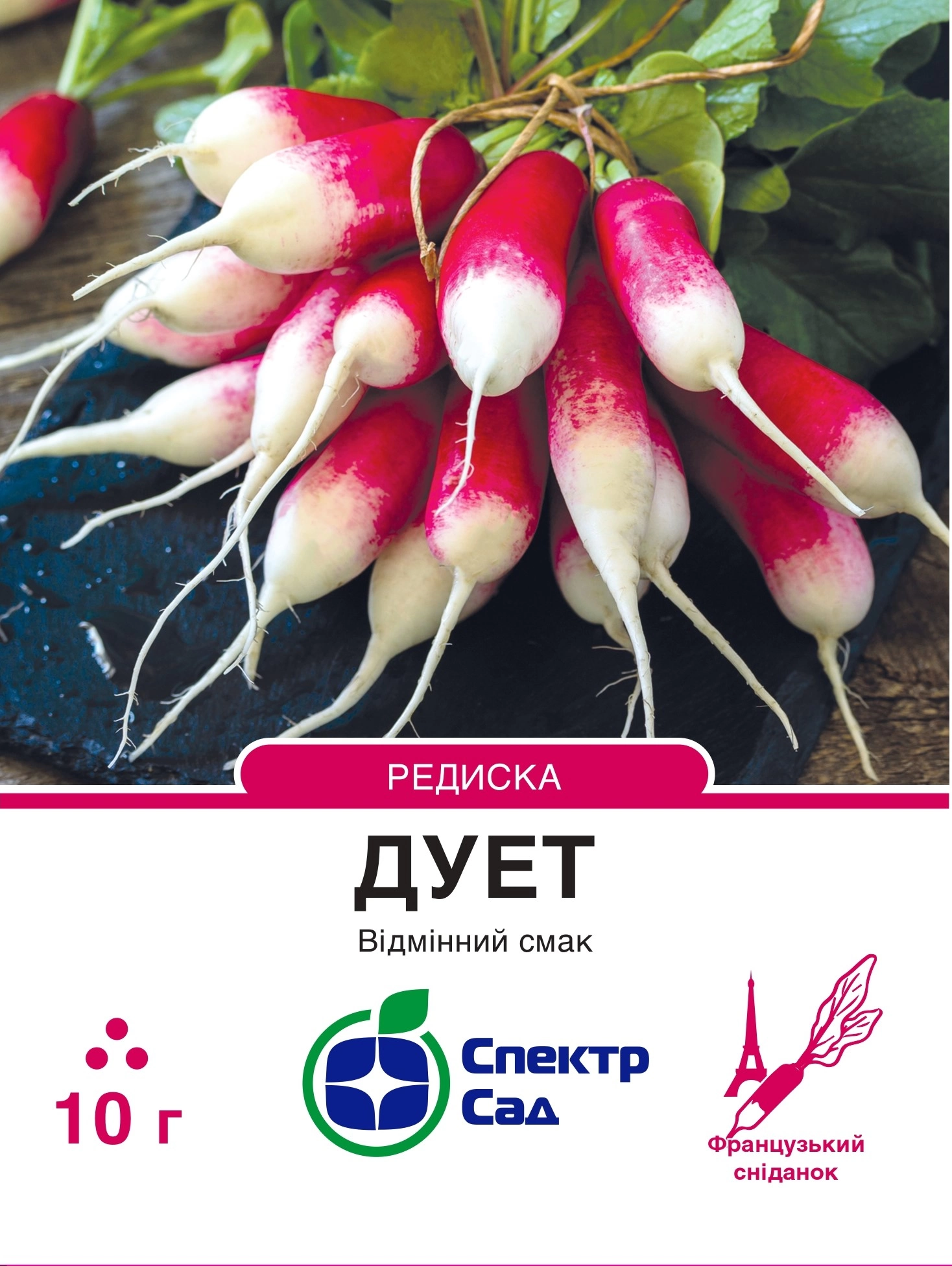 дует