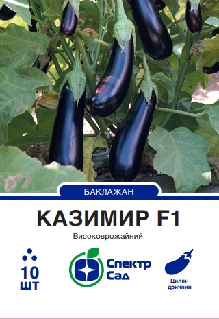 казимир