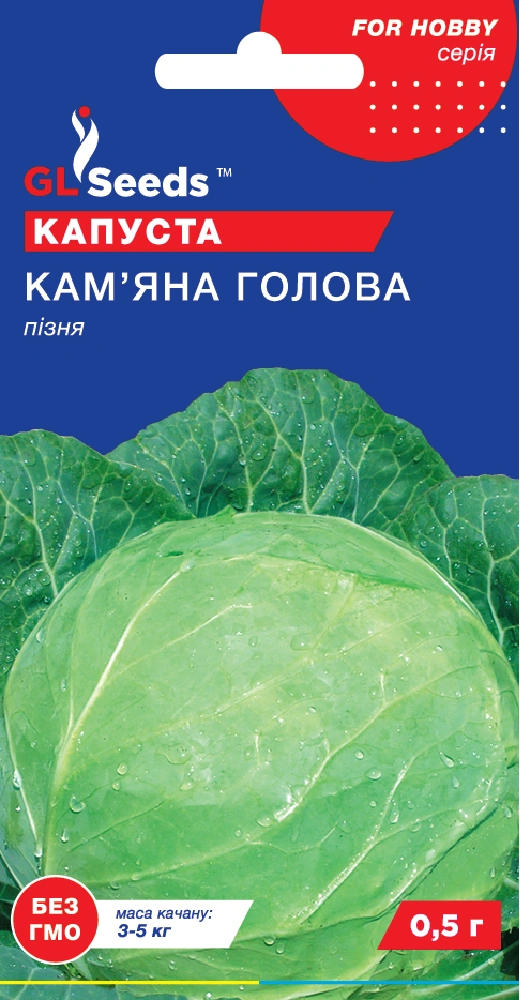кам'яна голова