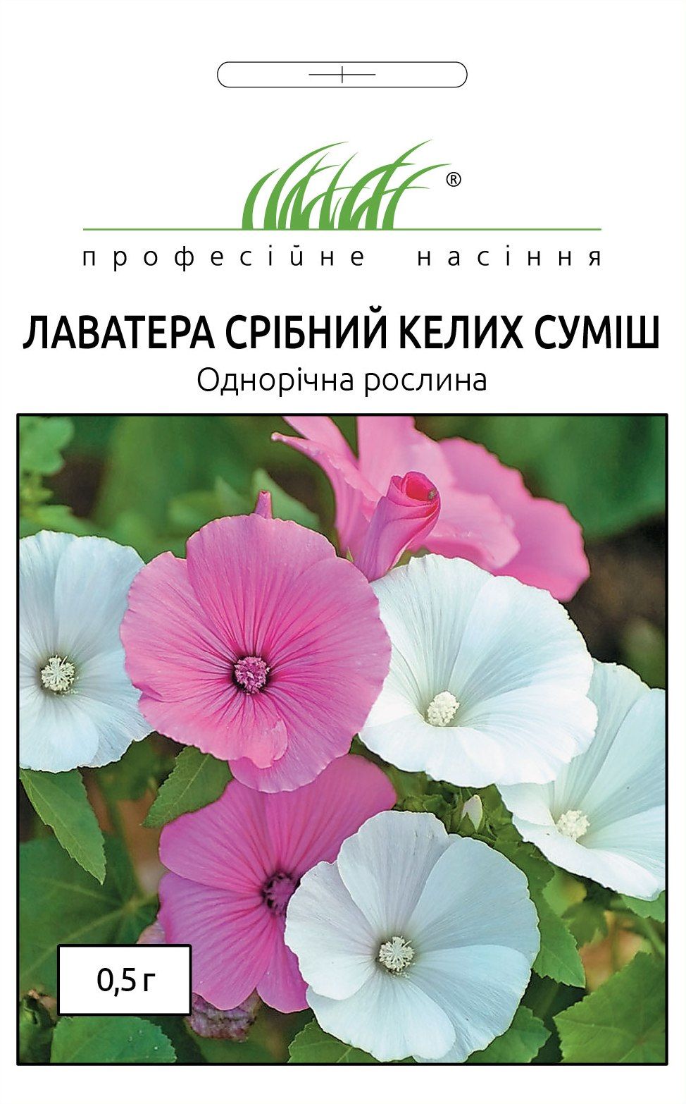 лаватера