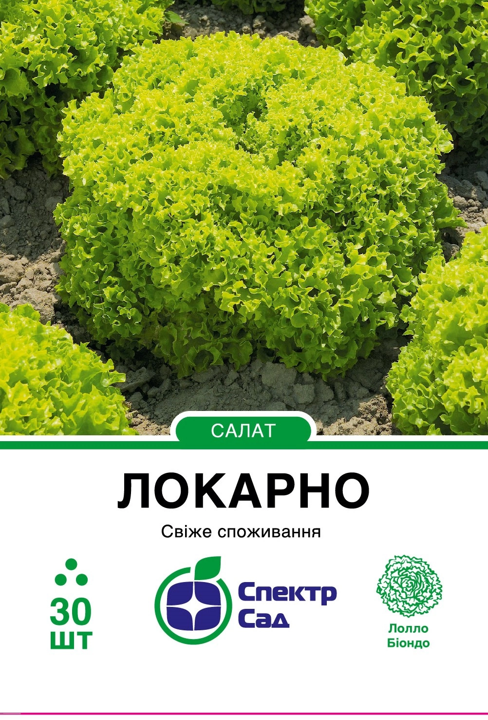 локарно