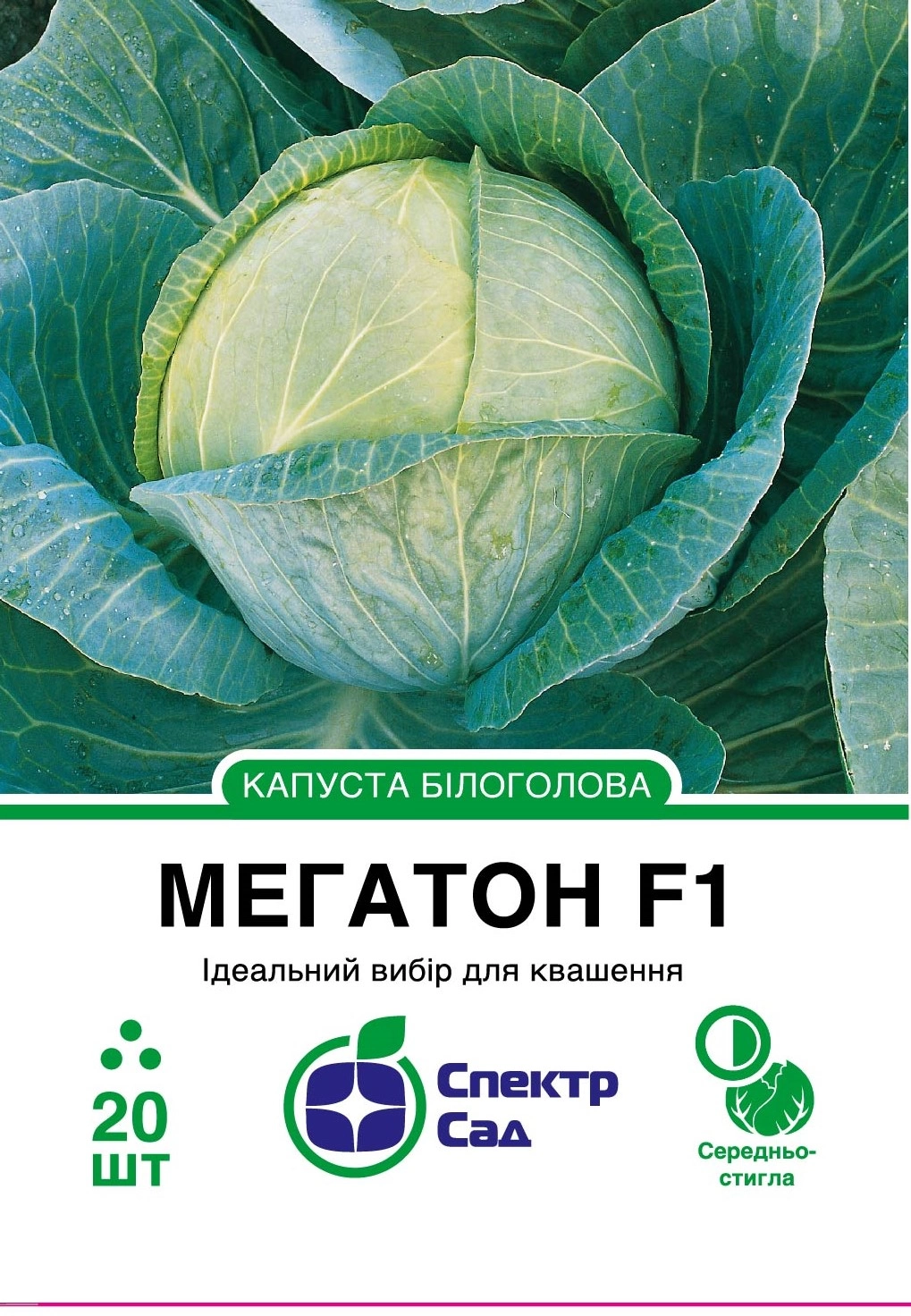 мегатон