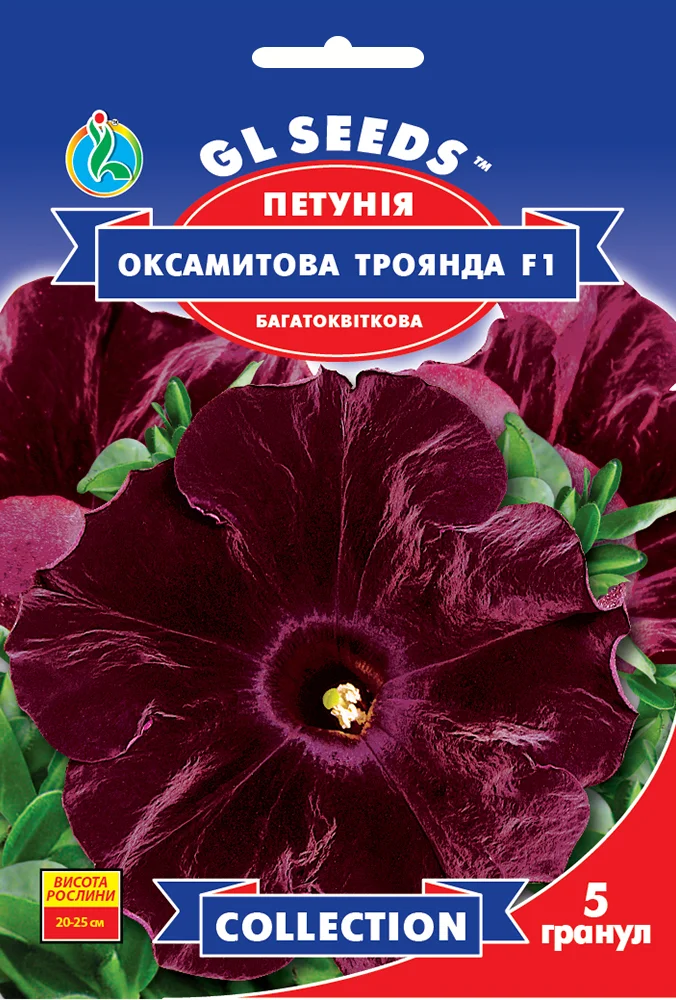 оксамитова троянда
