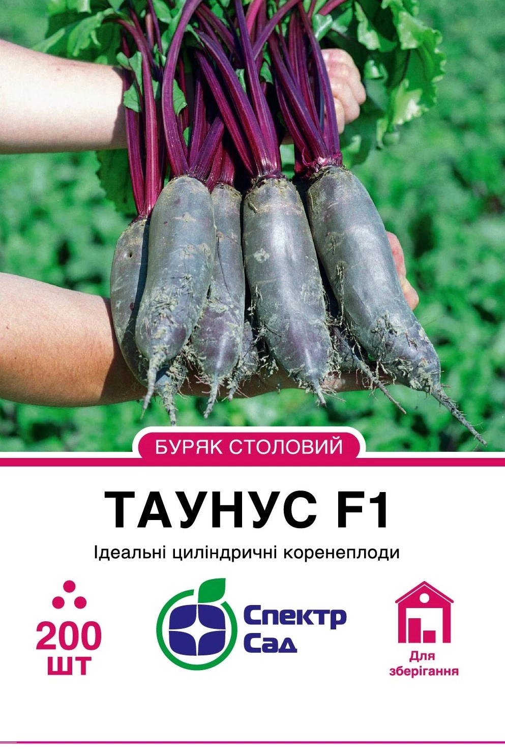 таунус