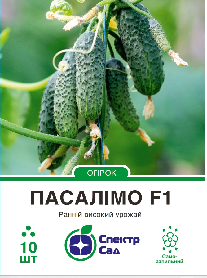 174b28908607d2cffb005632ce9284fc