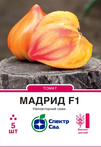 мадрид