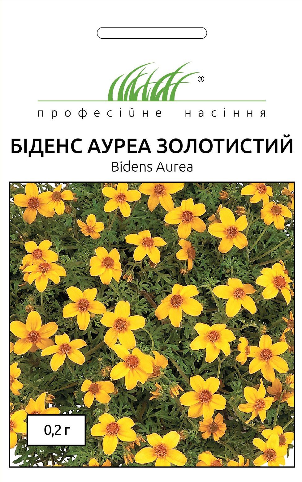 біденс