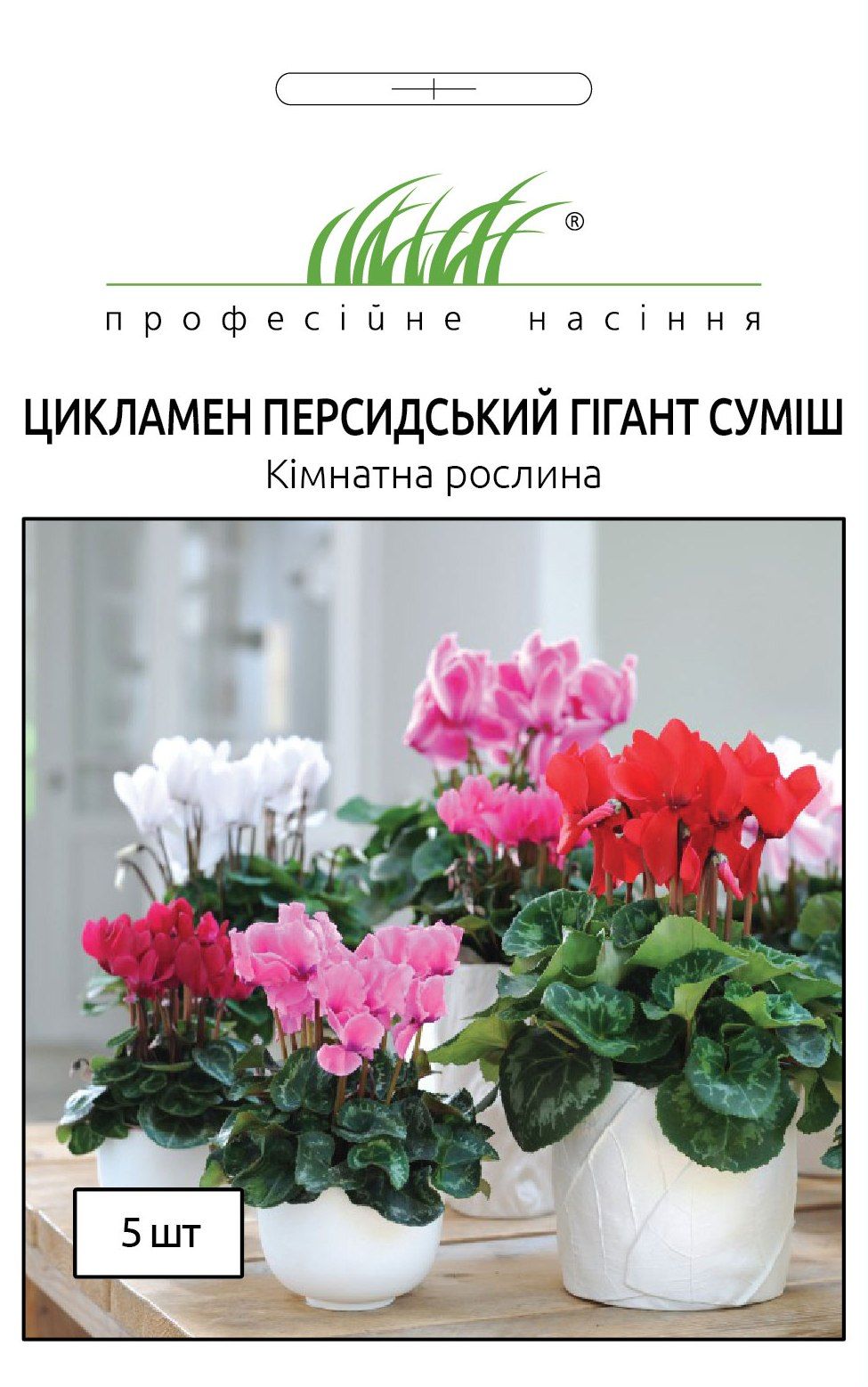 цикламен
