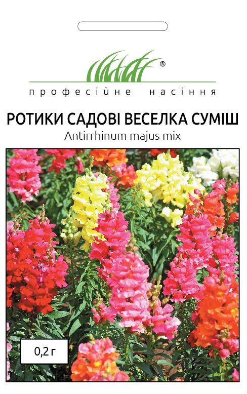 РОТИКИ ВЕСЕЛКА