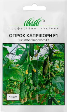 капрікорн