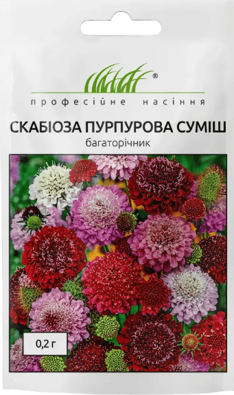СКАБІОЗА