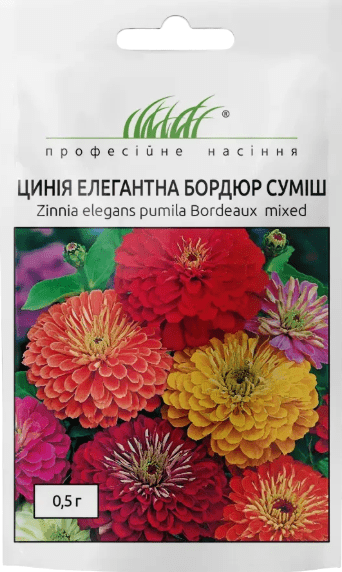цинія бордюр