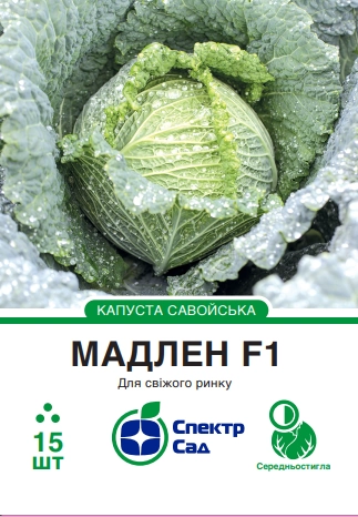 e8d1aaeed45f758400c14c83cdc4dac8