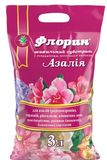 АЗАЛІЯ