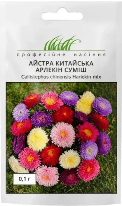 арлекін