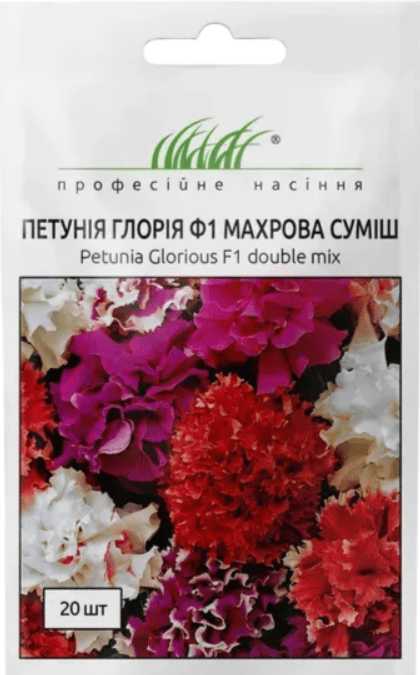 глорія