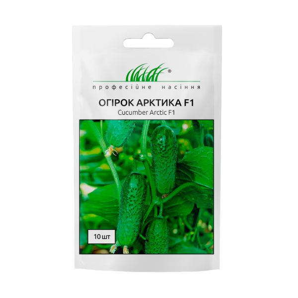арктика