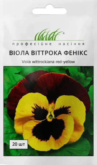 віола жовт черв