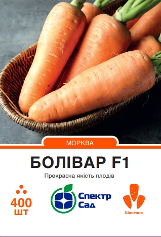 image-1-12