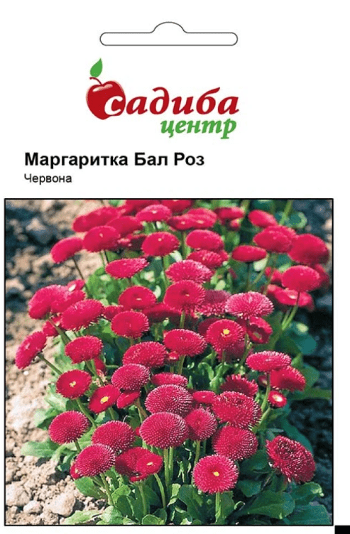 image-1-13