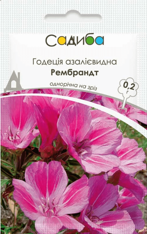 image-1-20