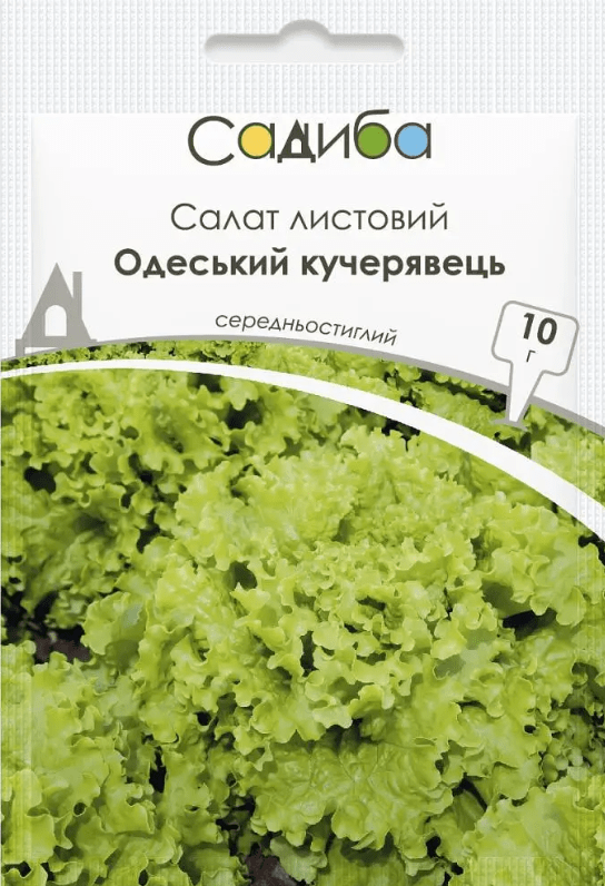 image-1-21