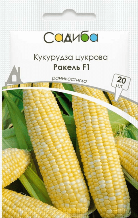 image-1-24