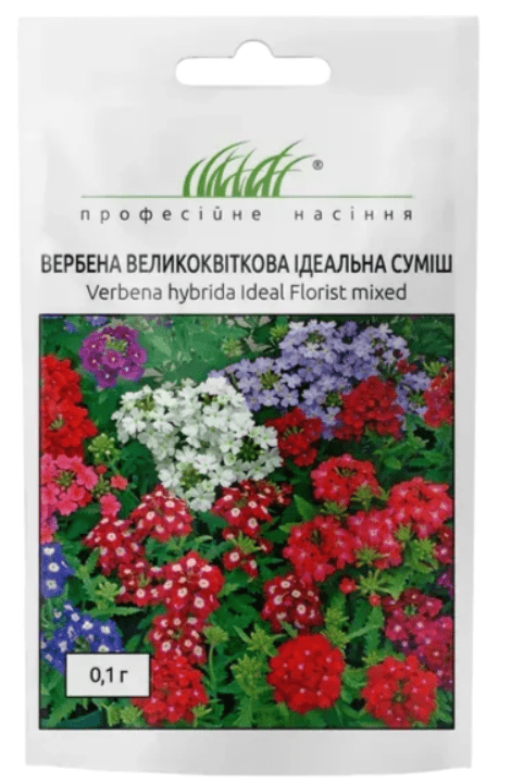 image-1-32