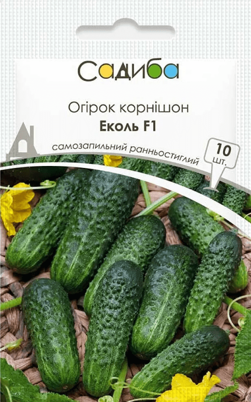 image-1-6