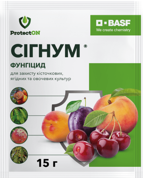 сігнум